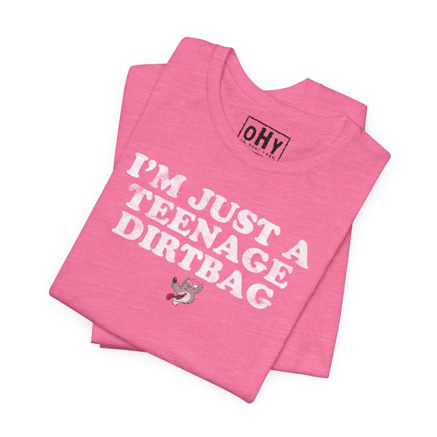 Teenage Dirtbag Tee