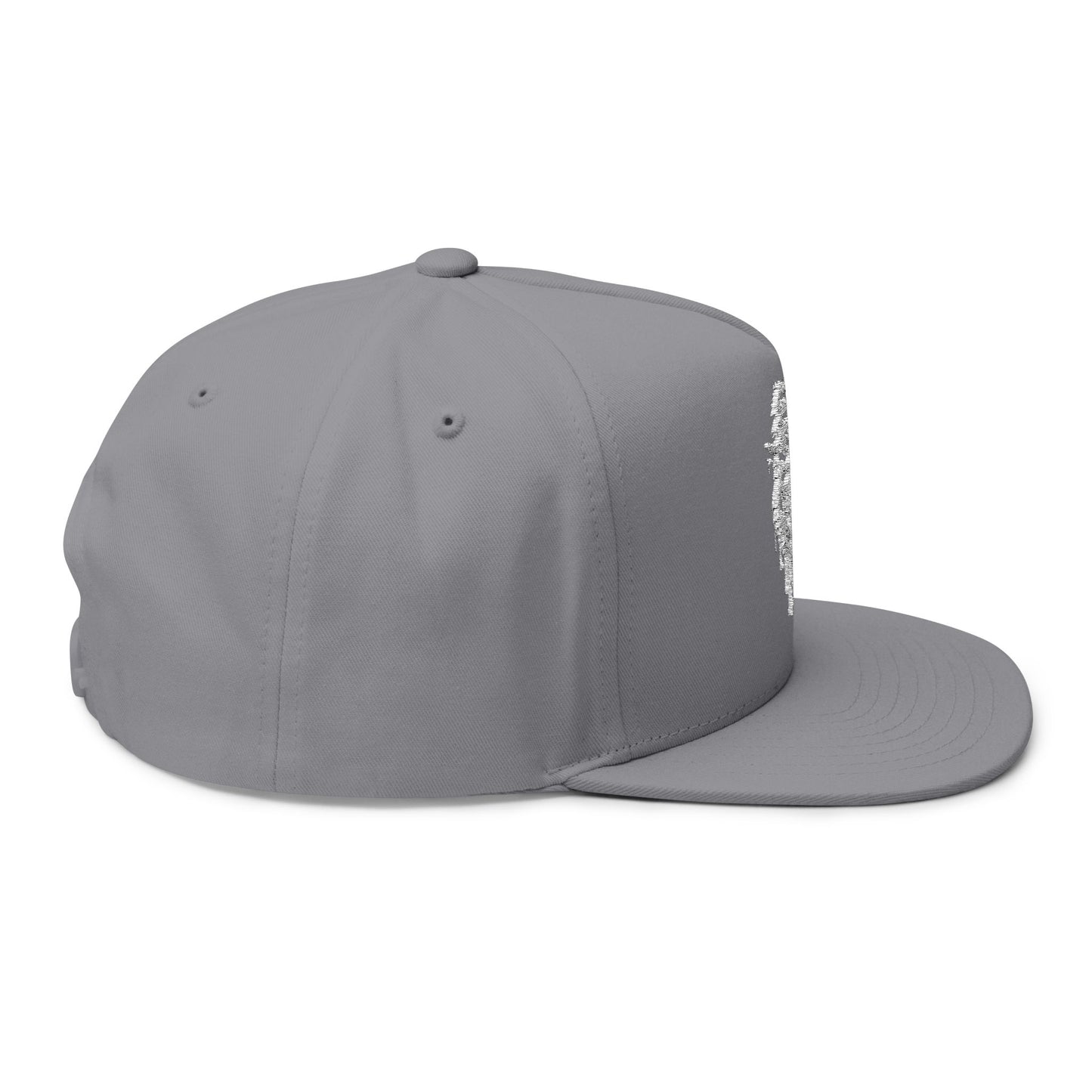 Drippy Wolf Flat Bill Cap