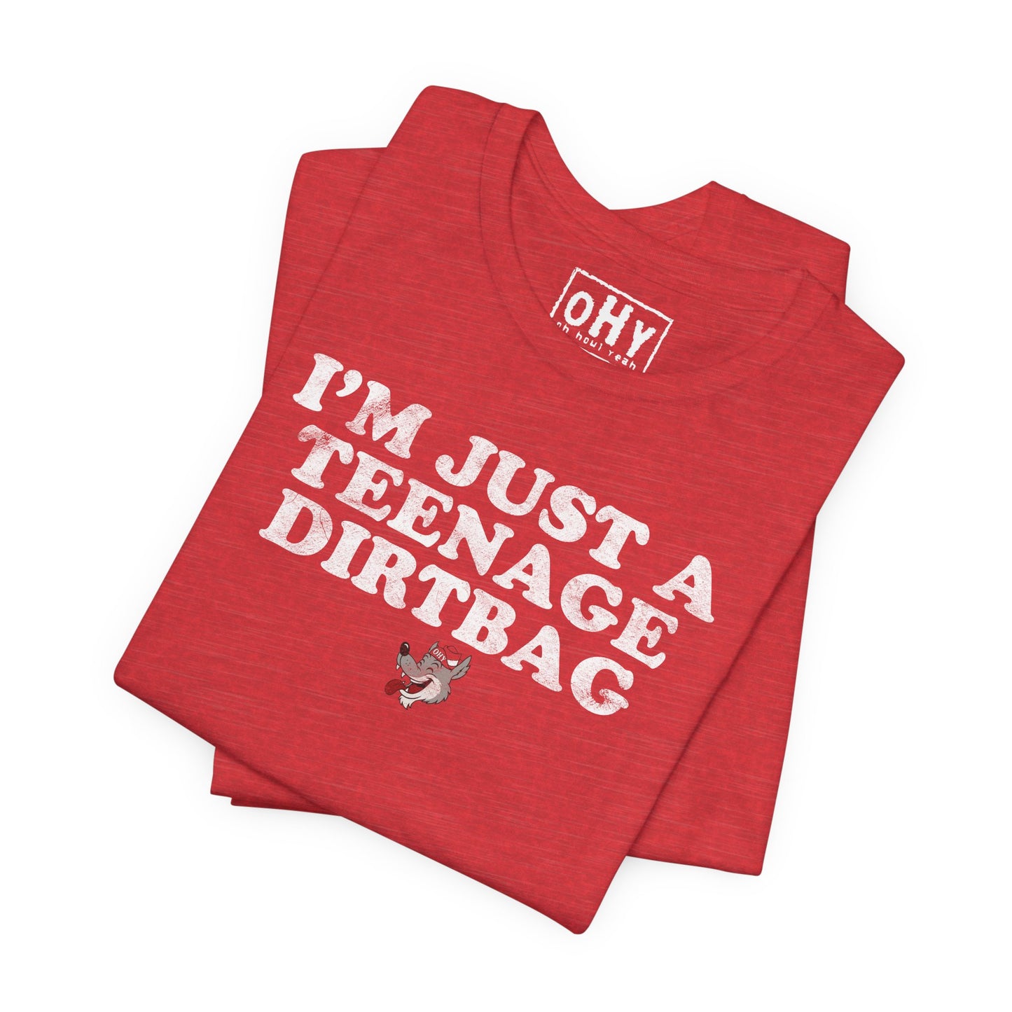 Teenage Dirtbag Tee